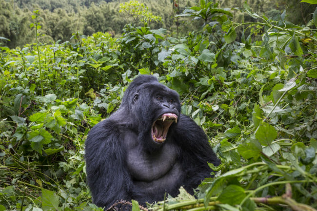 Fotó: hirado.hu/AFP