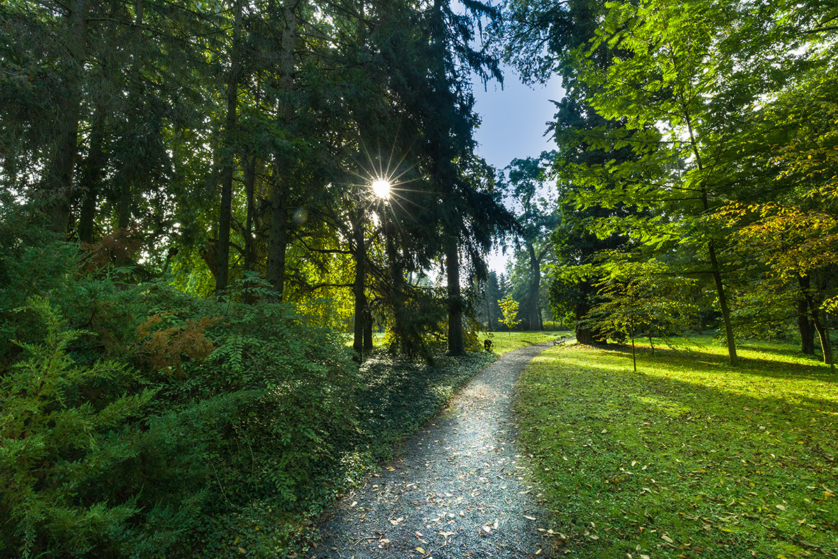 Forrás: botanikuskert.hu