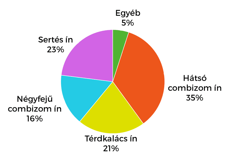 Keresztszalag pótlására használt anyagok